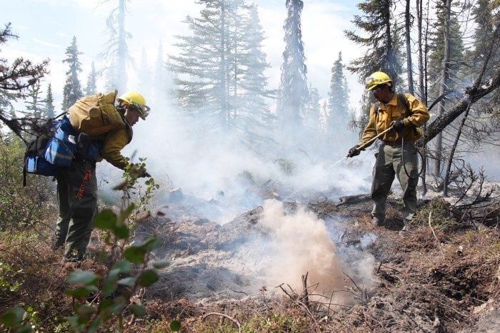 Zwei Einsatzkräfte bekämpfen einen rauchenden Vegetationsbrand im Wald