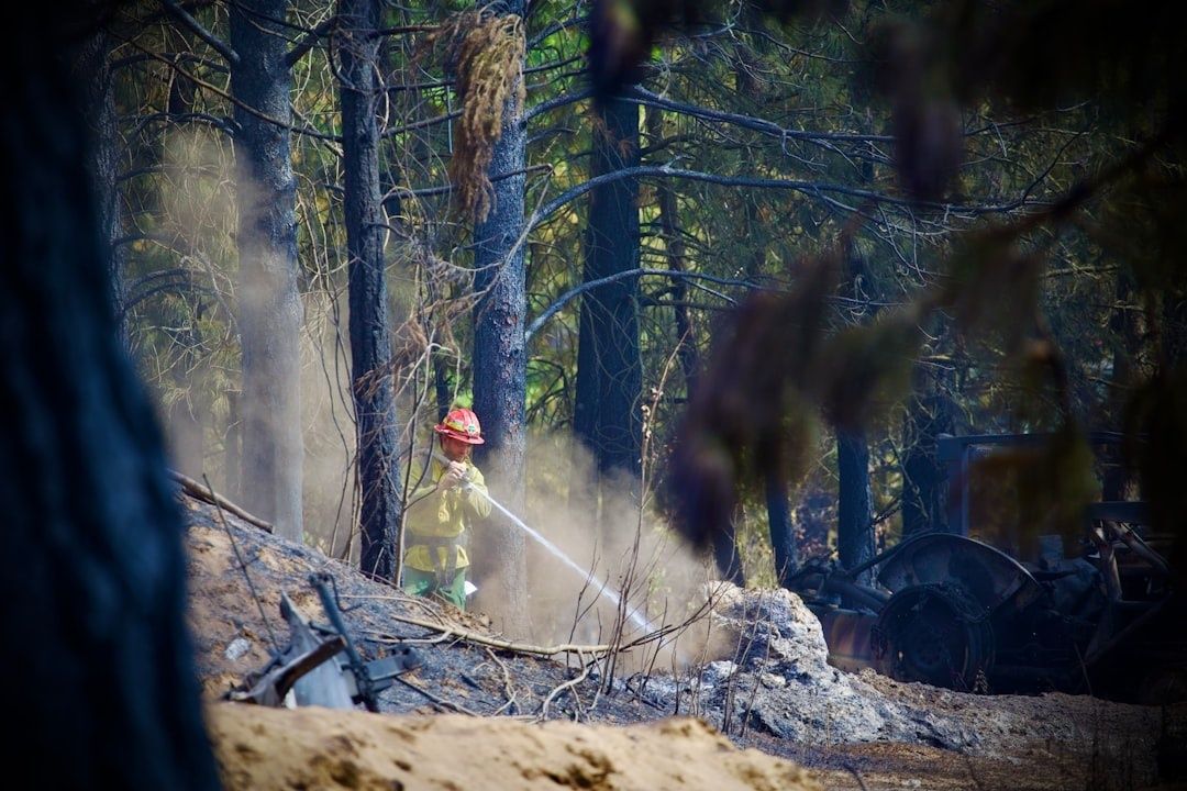 Feuerwehrkraft löscht einen Waldbrand zwischen verkohlten Bäumen